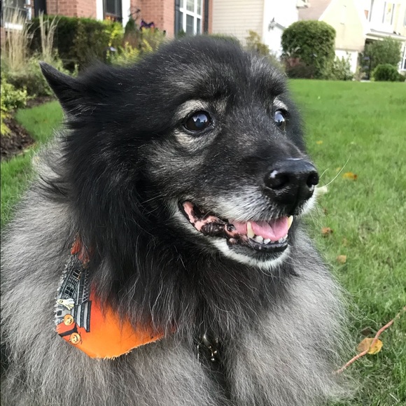 Meet your Posher, Jess - Picture 1 of 1